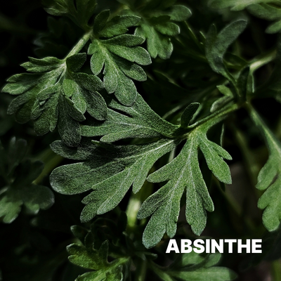 ABSINTHE