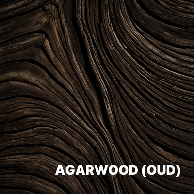 AGARWOOD (OUD)