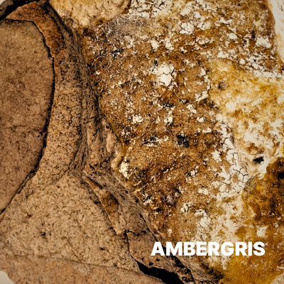 AMBERGRIS