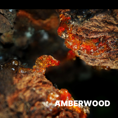 AMBERWOOD