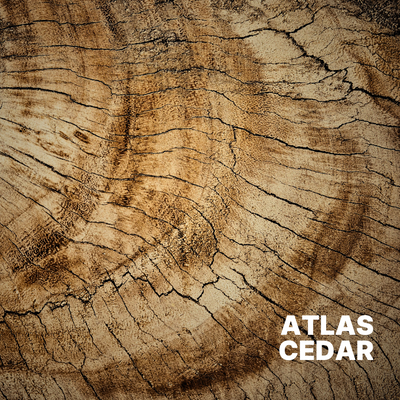 CEDAR