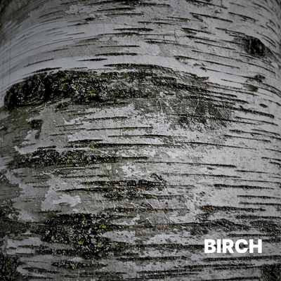 BIRCH