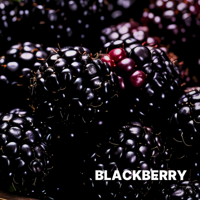 BLACKBERRY