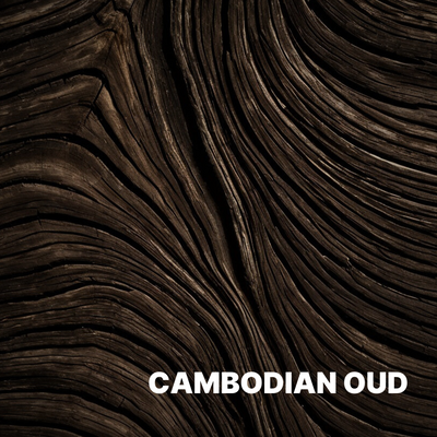 AGARWOOD (OUD)