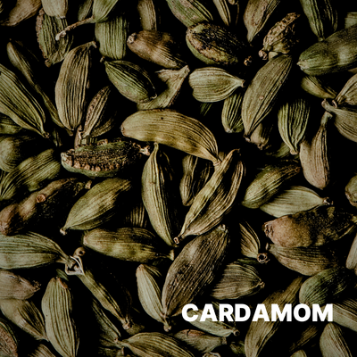 CARDAMOM