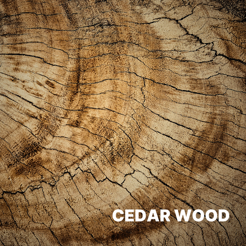 CEDAR