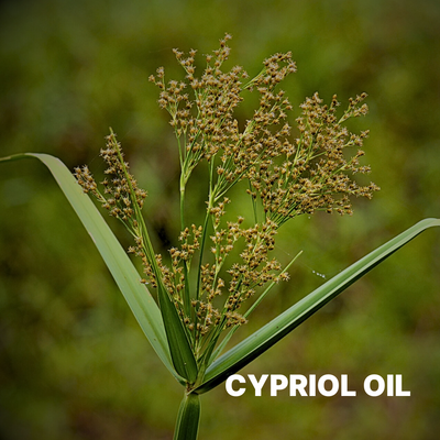 CYPRIOL OIL