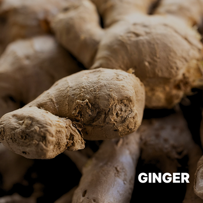 GINGER