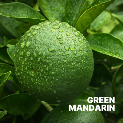 MANDARIN