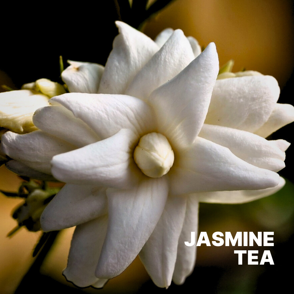 Jasmine Tea