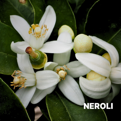 NEROLI