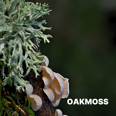 OAKMOSS