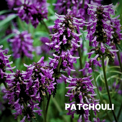 PATCHOULI