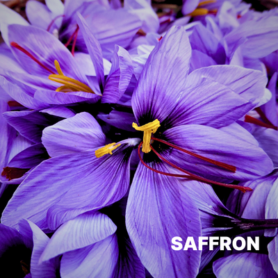 SAFFRON