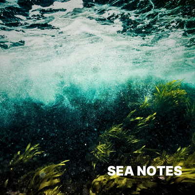 SEA NOTES