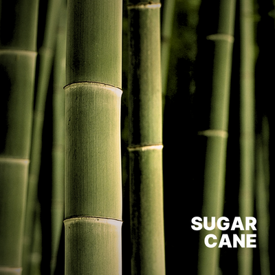 SUGAR CANE