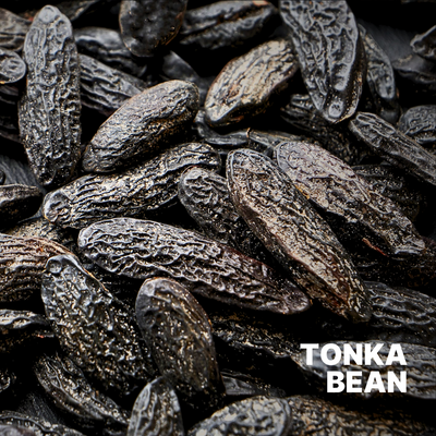 TONKA BEAN