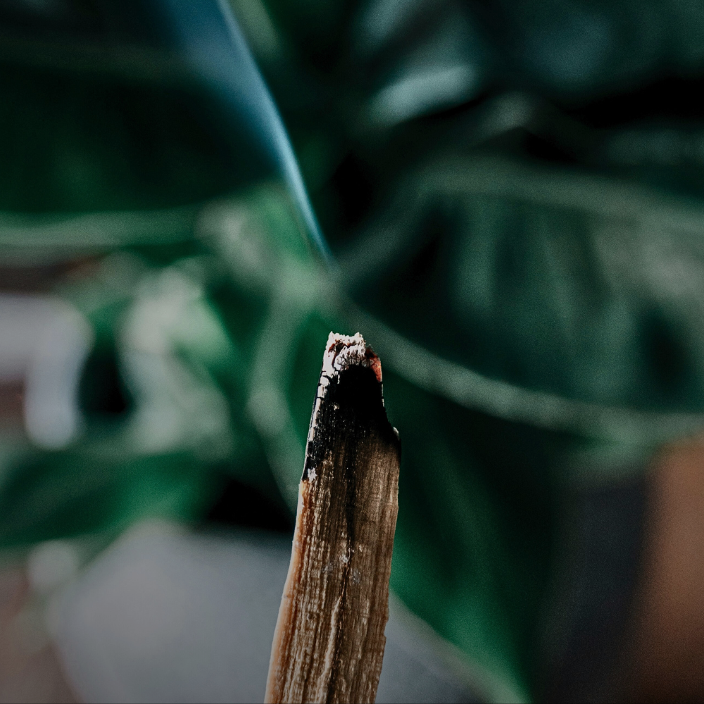 INCENSE
