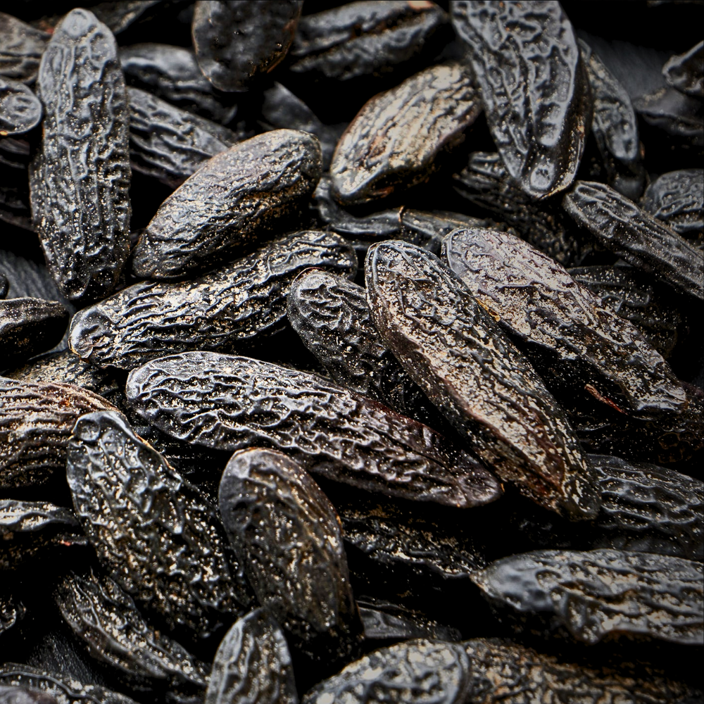 TONKA BEAN